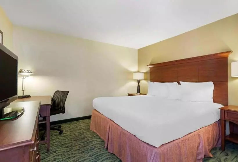 سوئیت با تخت بزرگ, Best Western Mcallen Medical Center
