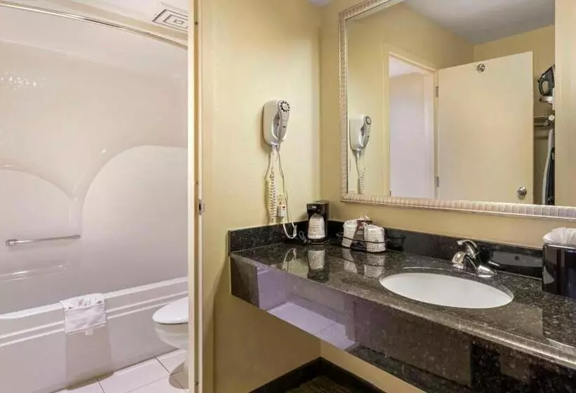 اتاق استاندارد با 2 تخت دوبل, Best Western Mcallen Medical Center
