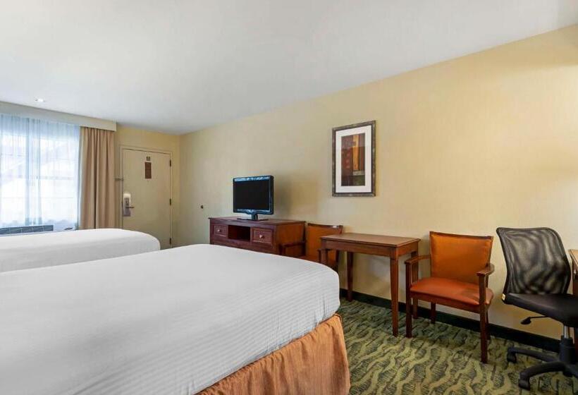 Номер Стандарт 2 Двуспальные Кровати, Best Western Mcallen Medical Center