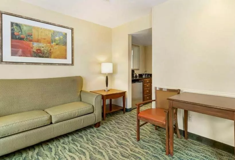 سوئیت برای معلولان, Best Western Mcallen Medical Center