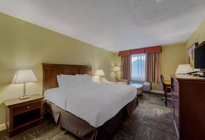 キングサイズベッドのスタンダードルーム, Best Western Plus Wooster Hotel & Conference Center