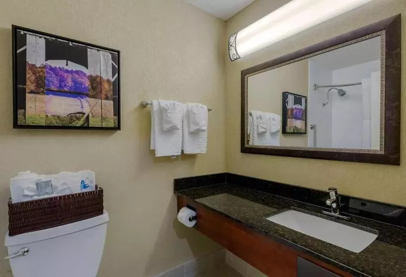 スタンダードルーム, Best Western Plus Wooster Hotel & Conference Center
