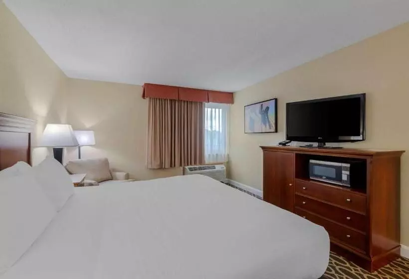 キングサイズベッドのスタンダードルーム, Best Western Plus Wooster Hotel & Conference Center