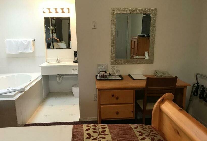 Standar Szoba Pezsgőfürdővel, Cactus Tree Inn