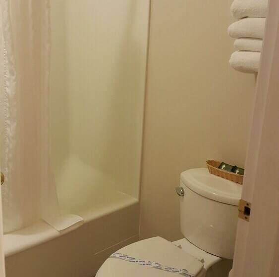 Standard Szoba 2 Franciaággyal, Cactus Tree Inn