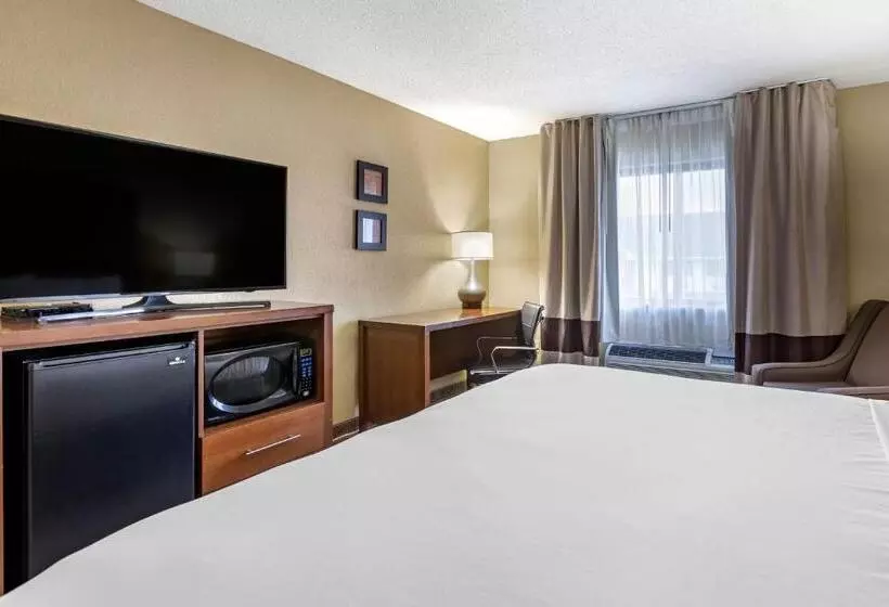 キングサイズベッドのスタンダードルーム, Comfort Inn Moline  Quad Cities