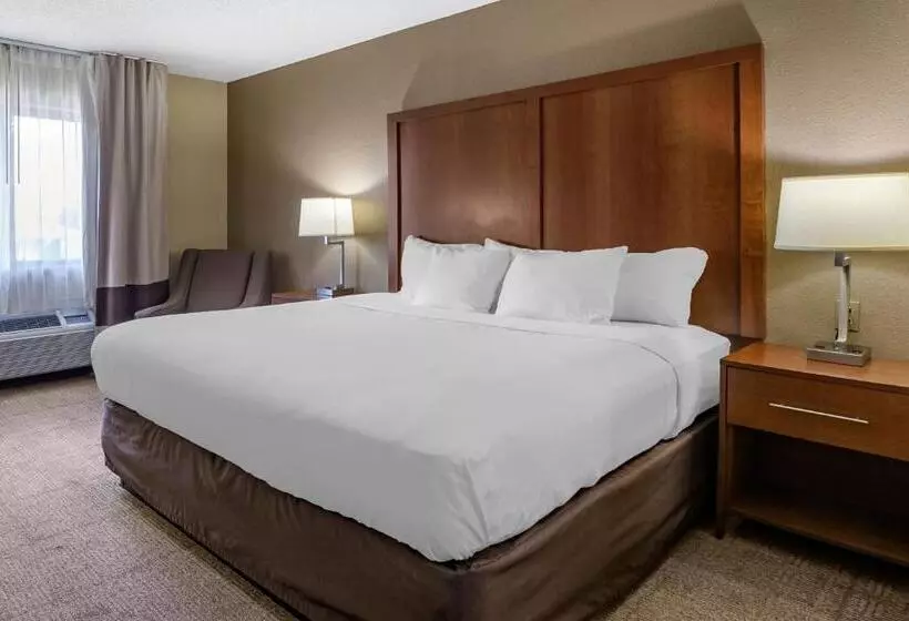キングサイズベッドのスタンダードルーム, Comfort Inn Moline  Quad Cities