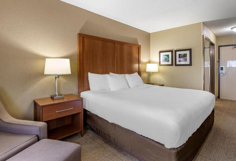 스탠다드 룸 킹사이즈 침대, Comfort Inn Moline  Quad Cities