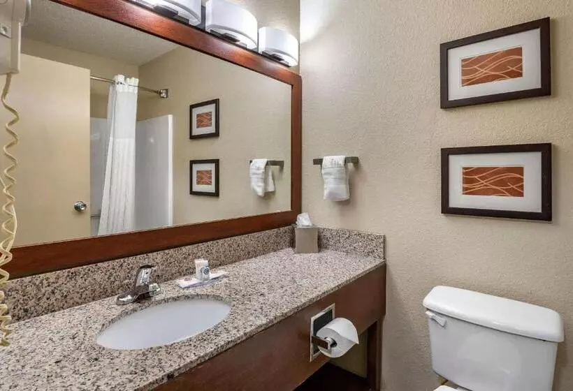 キングサイズベッドのスタンダードルーム, Comfort Inn Moline  Quad Cities