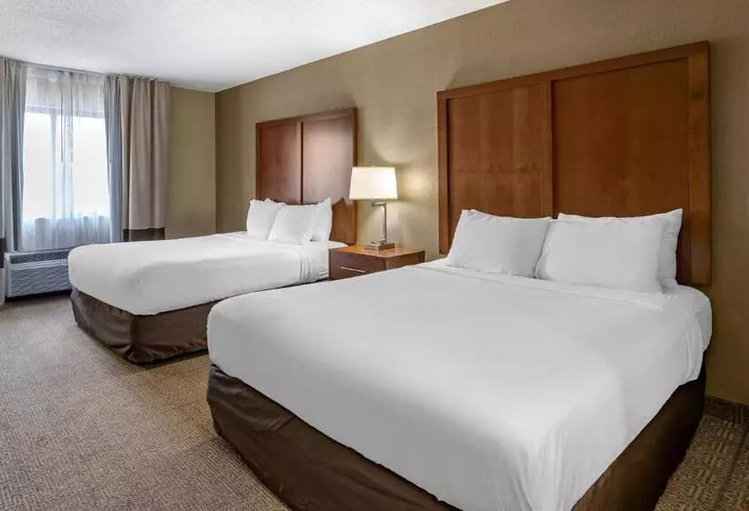 スタンダードルーム, Comfort Inn Moline  Quad Cities