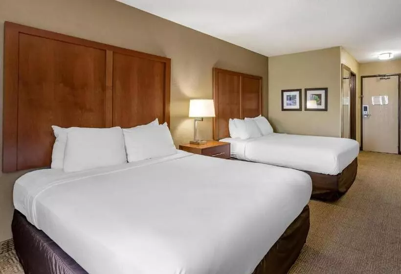 スタンダードルーム, Comfort Inn Moline  Quad Cities