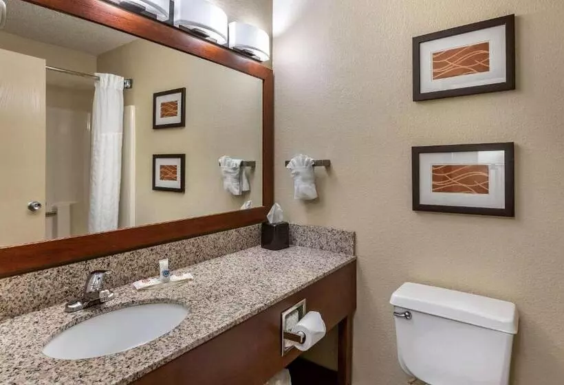 スタンダードルーム, Comfort Inn Moline  Quad Cities