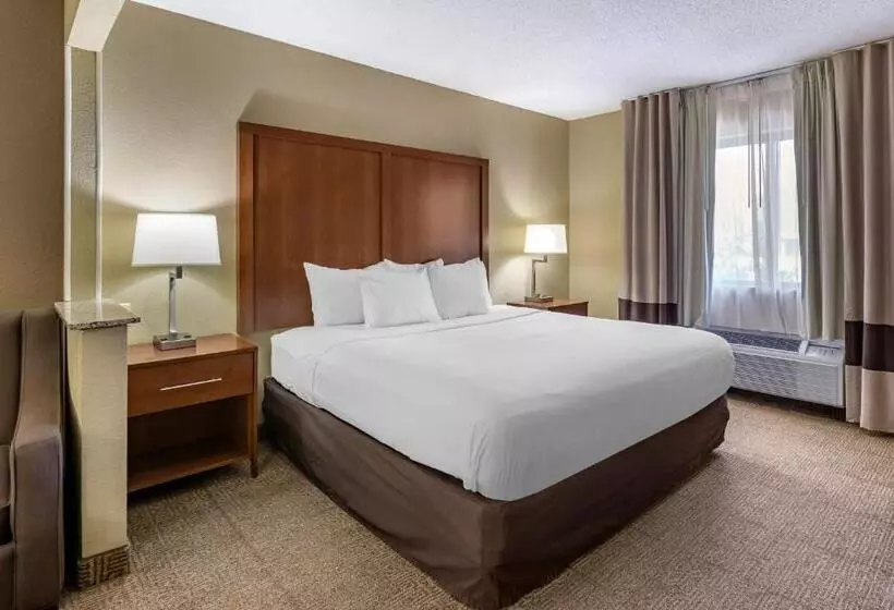 キングサイズベッドのスイートルーム, Comfort Inn Moline  Quad Cities