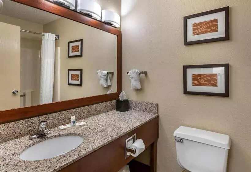 キングサイズベッドのスイートルーム, Comfort Inn Moline  Quad Cities