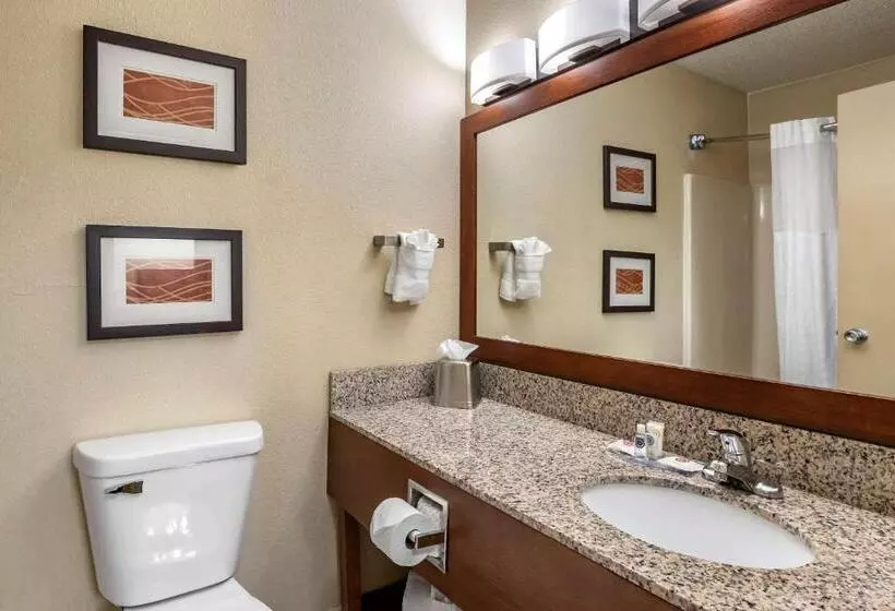 キングサイズベッドのスイートルーム, Comfort Inn Moline  Quad Cities