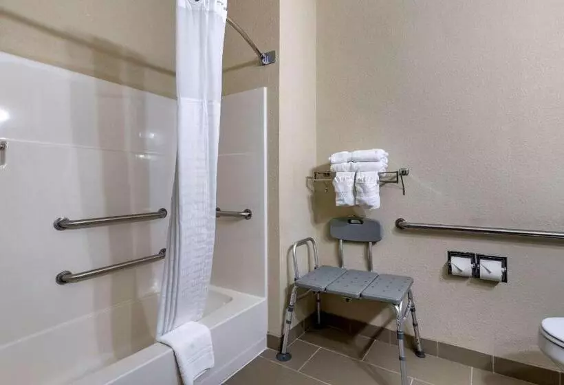 身障者適用スタンダードルーム, Comfort Inn Moline  Quad Cities