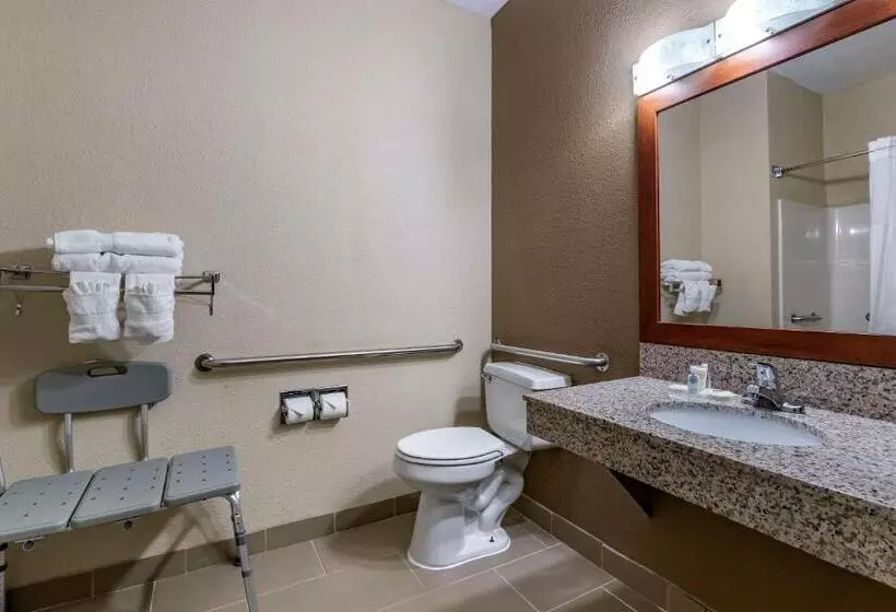 身障者適用スタンダードルーム, Comfort Inn Moline  Quad Cities