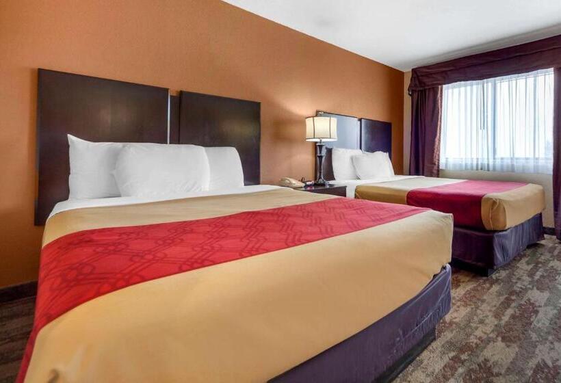 סוויטה, Econo Lodge Black Hills