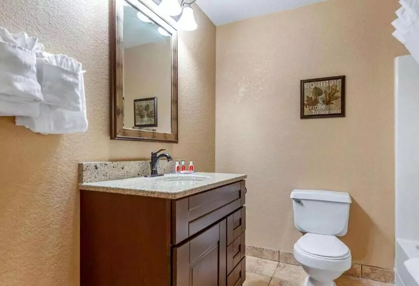キングサイズベッドのスタンダードルーム, Econo Lodge Black Hills