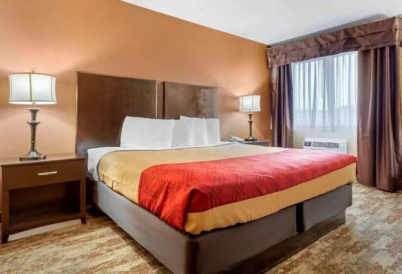 キングサイズベッドのスタンダードルーム, Econo Lodge Black Hills