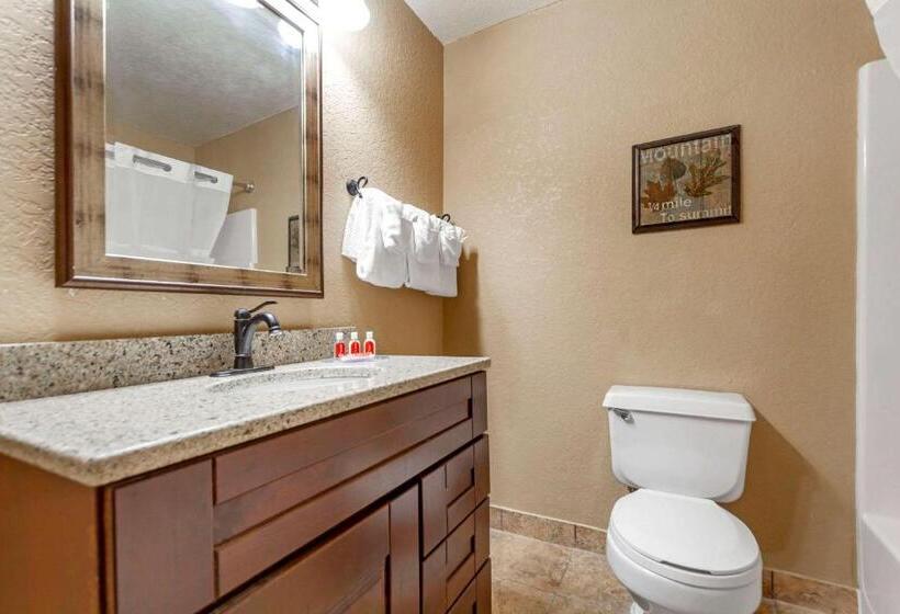 חדר סטנדרט מותאם לאדם עם מוגבלויות, Econo Lodge Black Hills