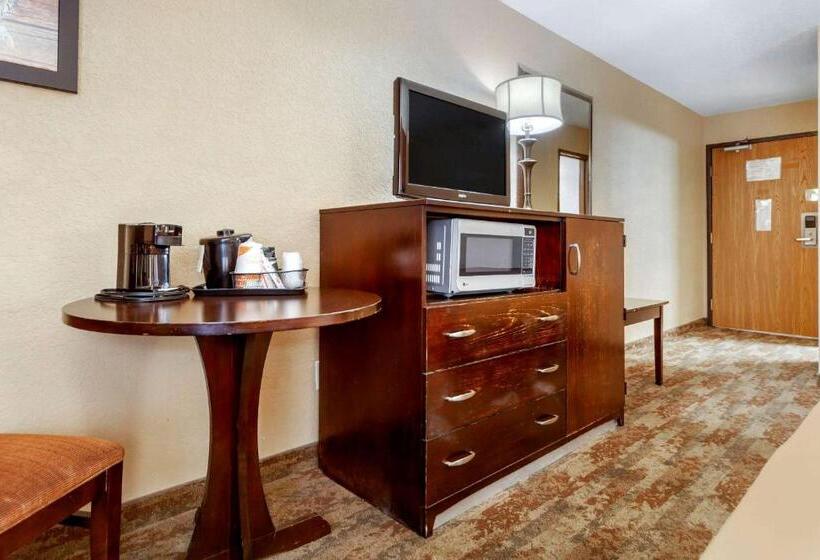 חדר סטנדרט מותאם לאדם עם מוגבלויות, Econo Lodge Black Hills