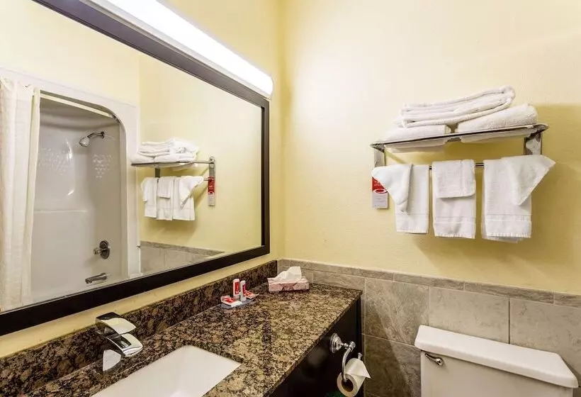 ２ダブルベッドのスタンダードルーム, Econo Lodge