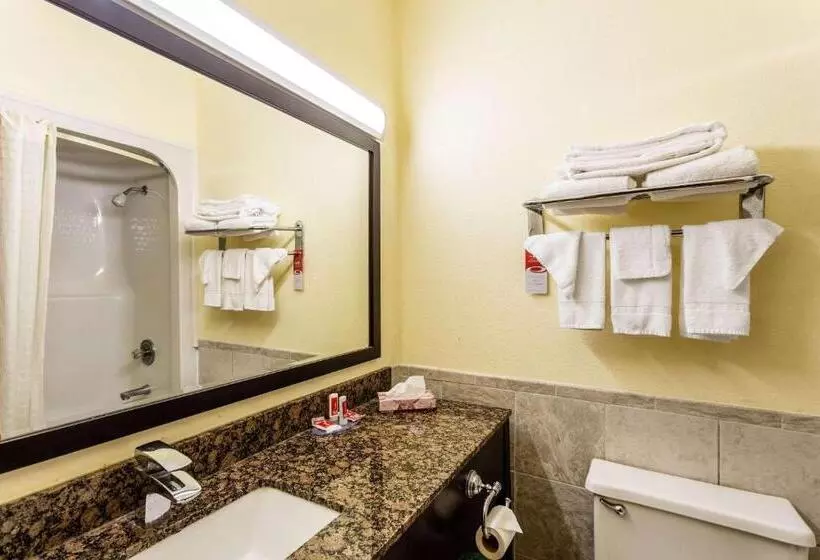 ２ダブルベッドのスタンダードルーム, Econo Lodge