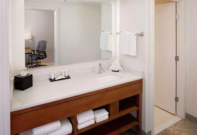 キングサイズベッドのスタンダードルーム, Embassy Suites By Hilton Boston Marlborough