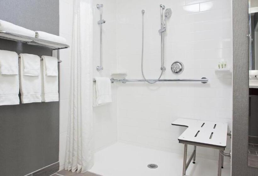 غرفة قياسية لذوى الاحتياجات الخاصة, Holiday Inn Weirtonsteubenville Area