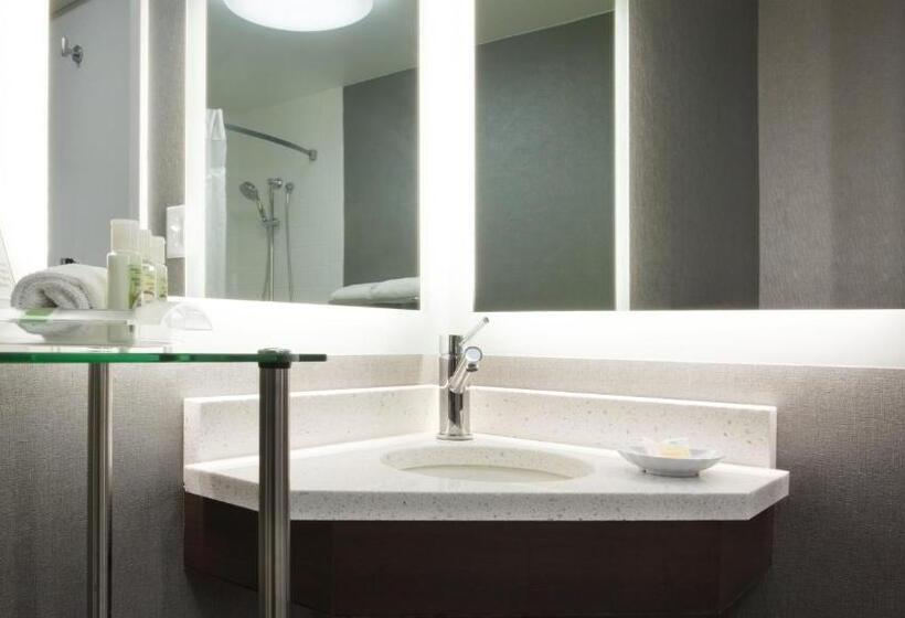 غرفة قياسية لذوى الاحتياجات الخاصة, Holiday Inn Weirtonsteubenville Area