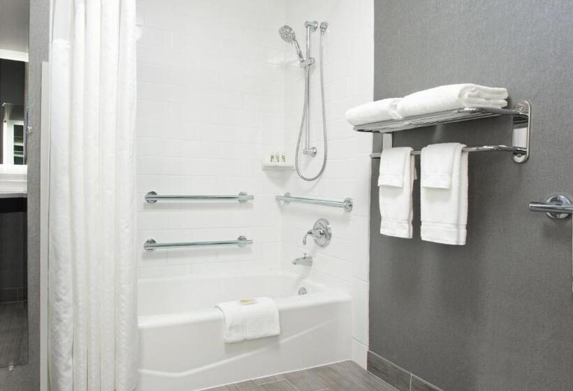 غرفة قياسية لذوى الاحتياجات الخاصة, Holiday Inn Weirtonsteubenville Area