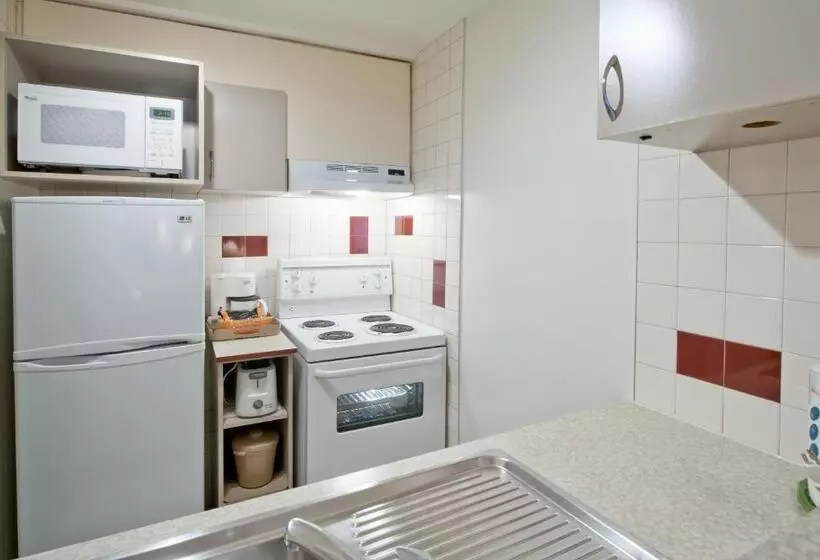 スタンダードスタジオ, L Appartement