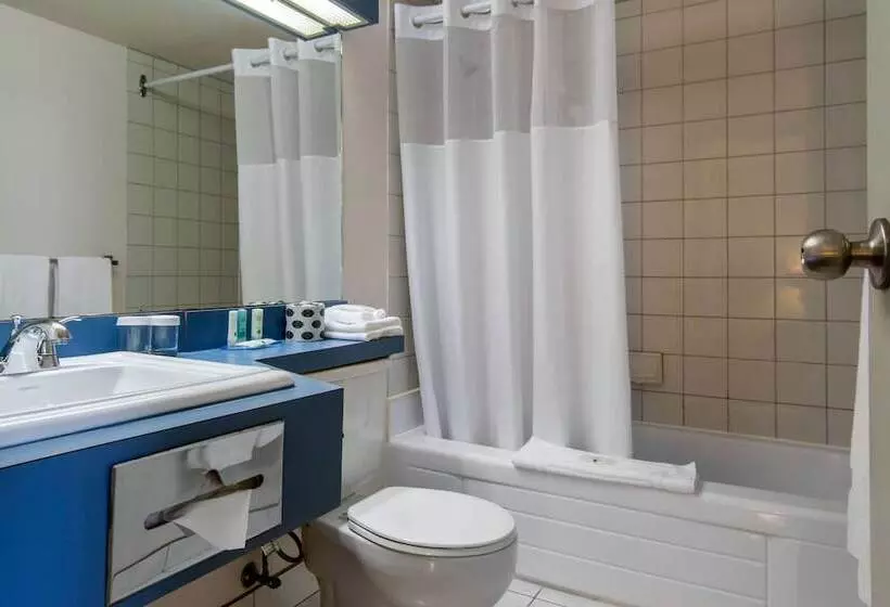デラックスルーム, Independent Hôtel St Jean Sur Richelieu