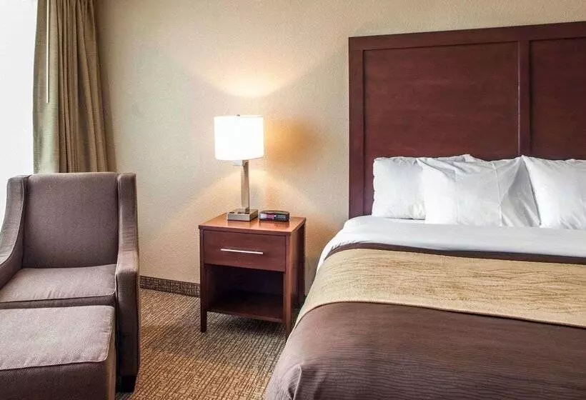 ２ダブルベッドのスタンダードルーム, Quality Inn & Suites Orland Park   Chicago