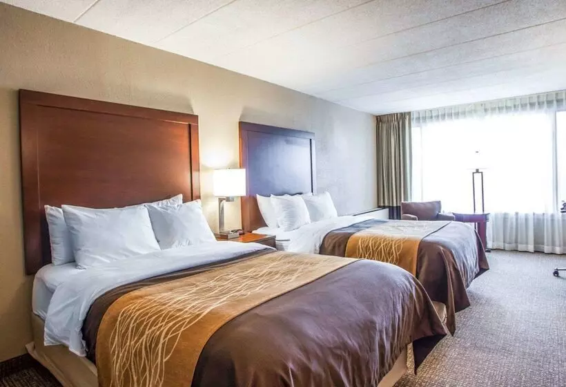２ダブルベッドのスタンダードルーム, Quality Inn & Suites Orland Park   Chicago
