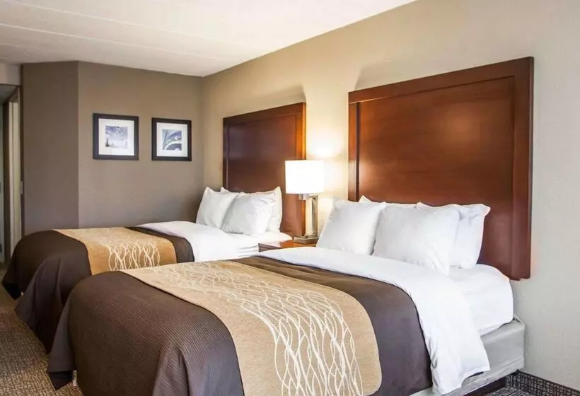 ２ダブルベッドのスタンダードルーム, Quality Inn & Suites Orland Park   Chicago