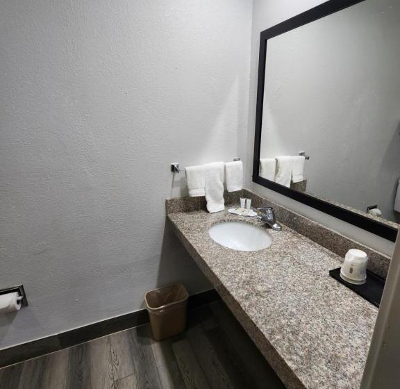 اتاق استاندارد با تخت بزرگ برای معلولان, Super 8 By Wyndham Shreveport