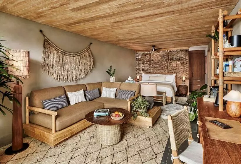 استودیوی استاندارد با چشمانداز دریا, 1 Hotel Hanalei Bay