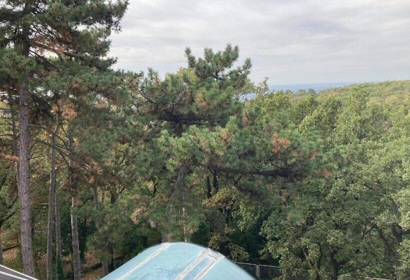 スタンダードルーム, Berg Toboz Panzió