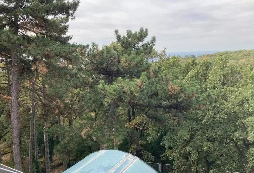 スタンダードルーム, Berg Toboz Panzió