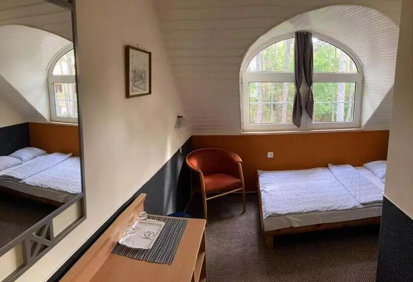 スタンダードシングルルーム, Berg Toboz Panzió