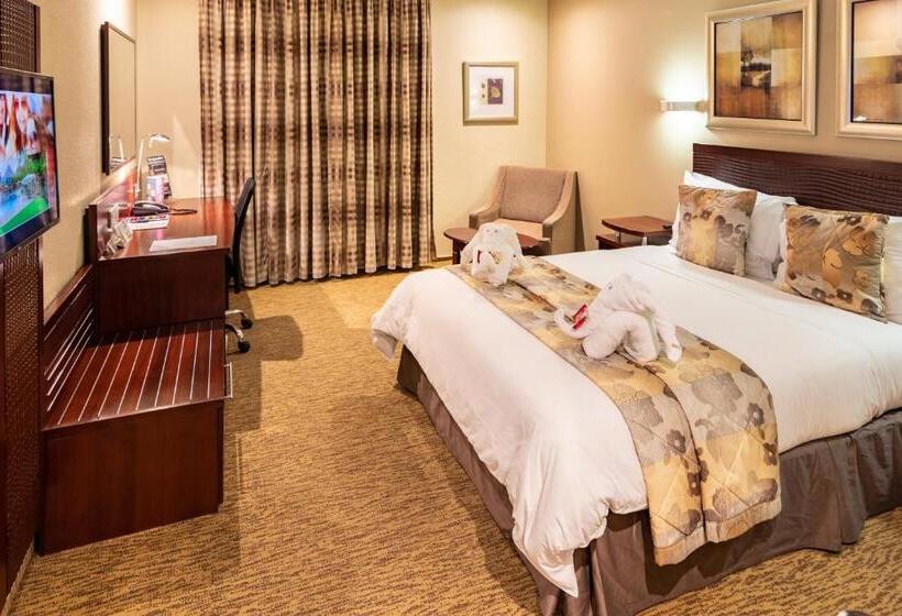 适合残疾人使用的标准间, City Lodge Hotel Johannesburg Airport, Barbara Road