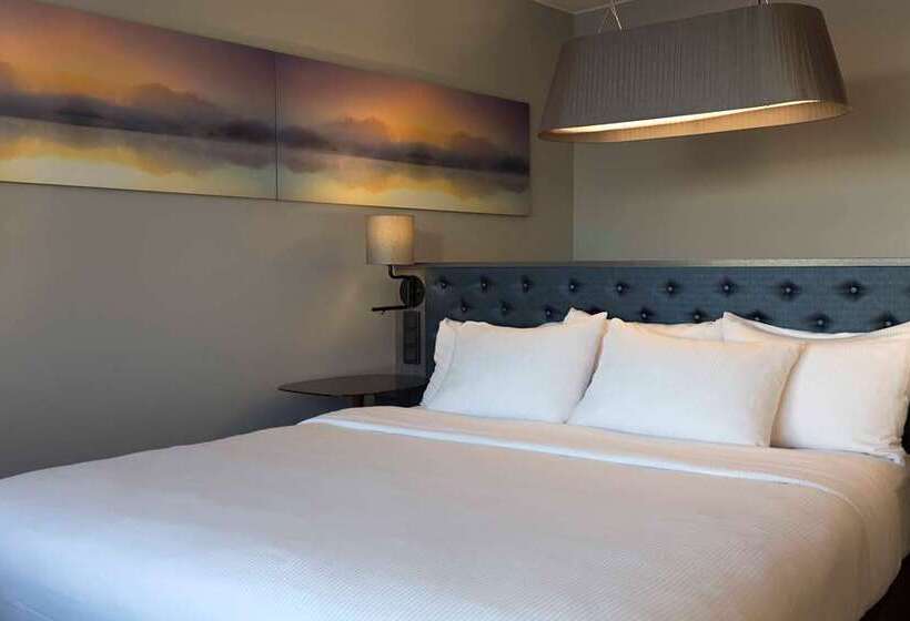 اتاق اجرایی با تخت بزرگ, Mersin Hiltonsa
