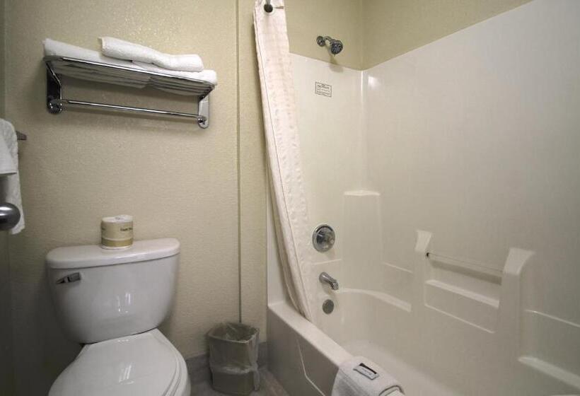 キングサイズベッドのスタンダードルーム, Geneva Motel Inn