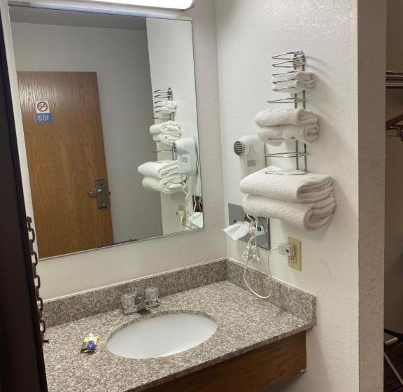 スタンダードルーム, Americas Best Value Inn Champaign