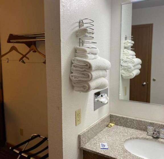 スタンダードルーム, Americas Best Value Inn Champaign