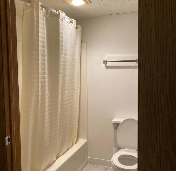 带大床的标准间, Americas Best Value Inn Champaign