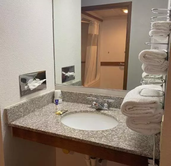 身障者適用スタンダードルーム, Americas Best Value Inn Champaign