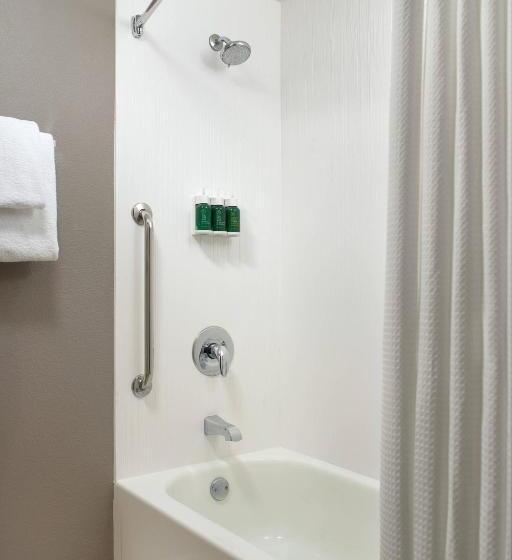 适合残疾人士使用的带超级大床的标准间, Courtyard By Marriott Greensboro